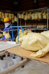 Similar image 8729364