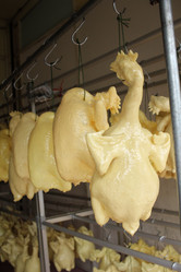 Similar image 8729367