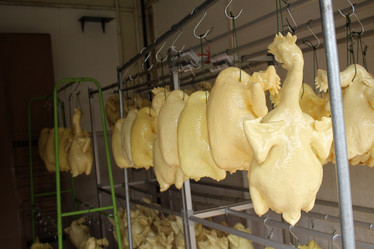 Similar image 8729370