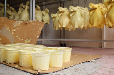 Similar image 8729373