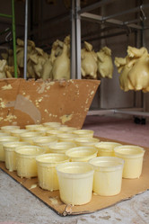 Similar image 8729376