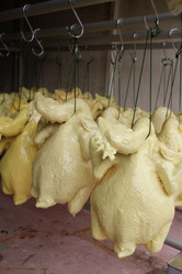 Similar image 8729378