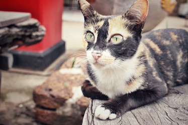 Similar image 8729384