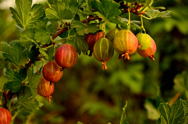 Similar image 8729385