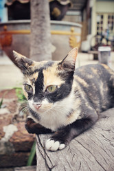 Similar image 8729387