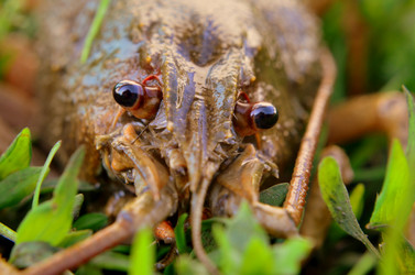 Similar image 8729389