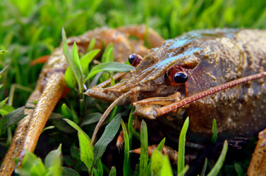 Similar image 8729394