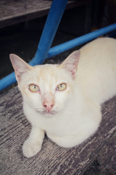 Similar image 8729397