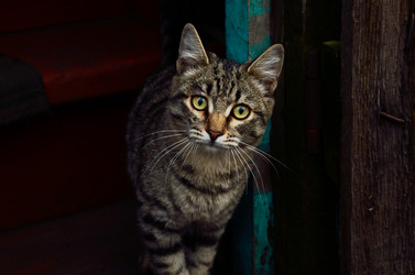 Similar image 8729398