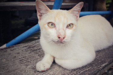 Similar image 8729400