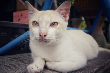 Similar image 8729404