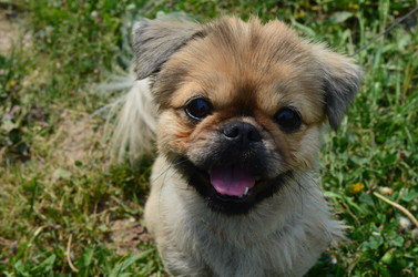 Similar image 8729407