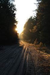 Similar image 8729424