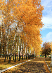 Similar image 8729429