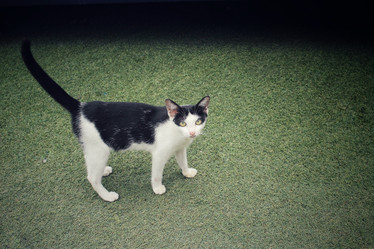 Similar image 8729460