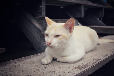 Similar image 8729462