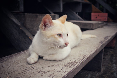 Similar image 8729464