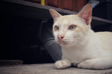 Similar image 8729465