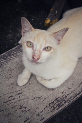 Similar image 8729469