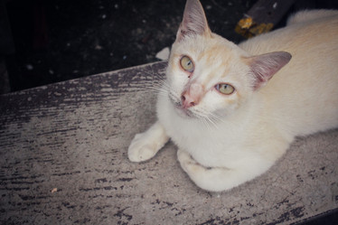 Similar image 8729470