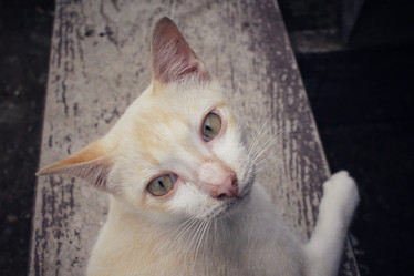 Similar image 8729471