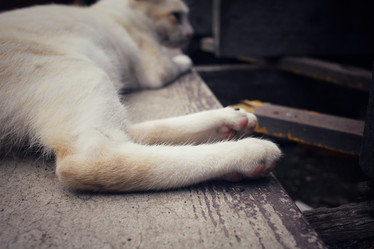 Similar image 8729476