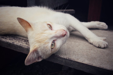 Similar image 8729478