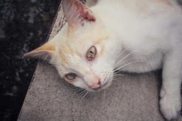 Similar image 8729479