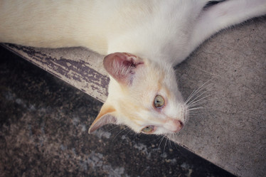 Similar image 8729481