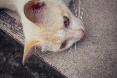 Similar image 8729483