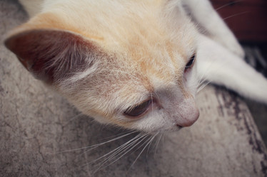 Similar image 8729485