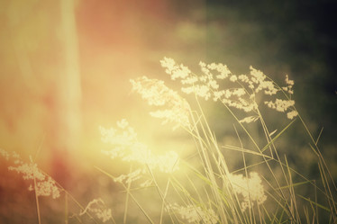 Similar image 8729542