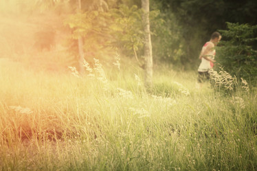 Similar image 8729548