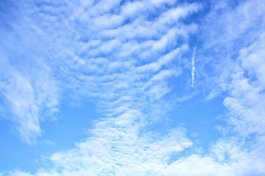 Similar image 8729559