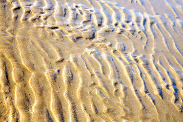 Similar image 8729560