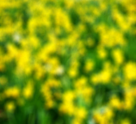 Similar image 8729574