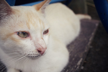 Similar image 8729666