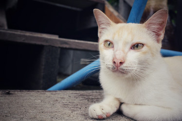 Similar image 8729669