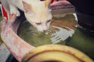 Similar image 8729670