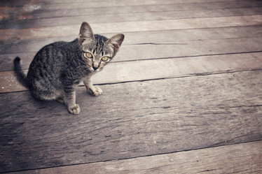 Similar image 8729674