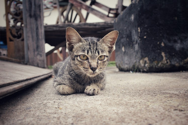 Similar image 8729683