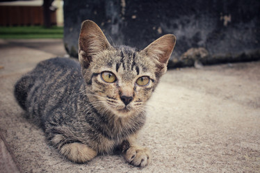 Similar image 8729687