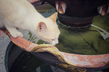 Similar image 8729698