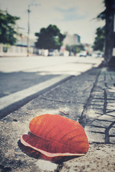 Similar image 8729729