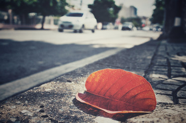 Similar image 8729731