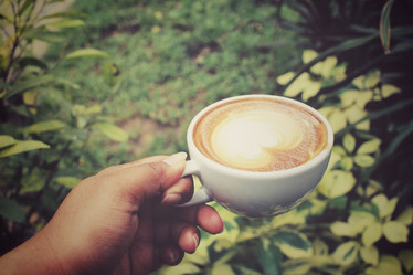 Similar image 8729893