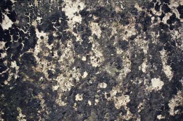 Similar image 8729946