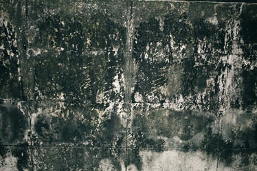 Similar image 8729948