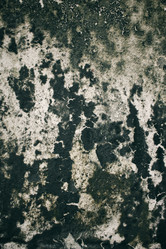 Similar image 8729949