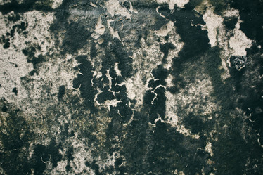 Similar image 8729951